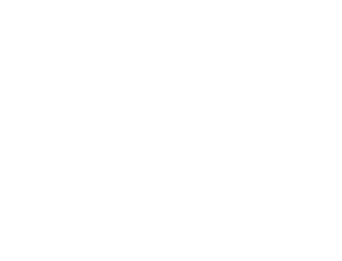 ANA 이미지